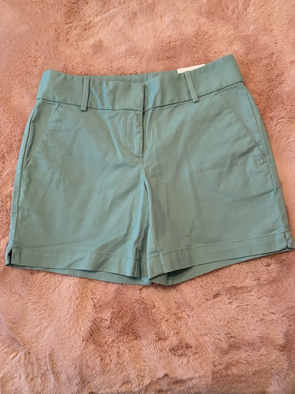 LOFT Mint Green The Riviera Short